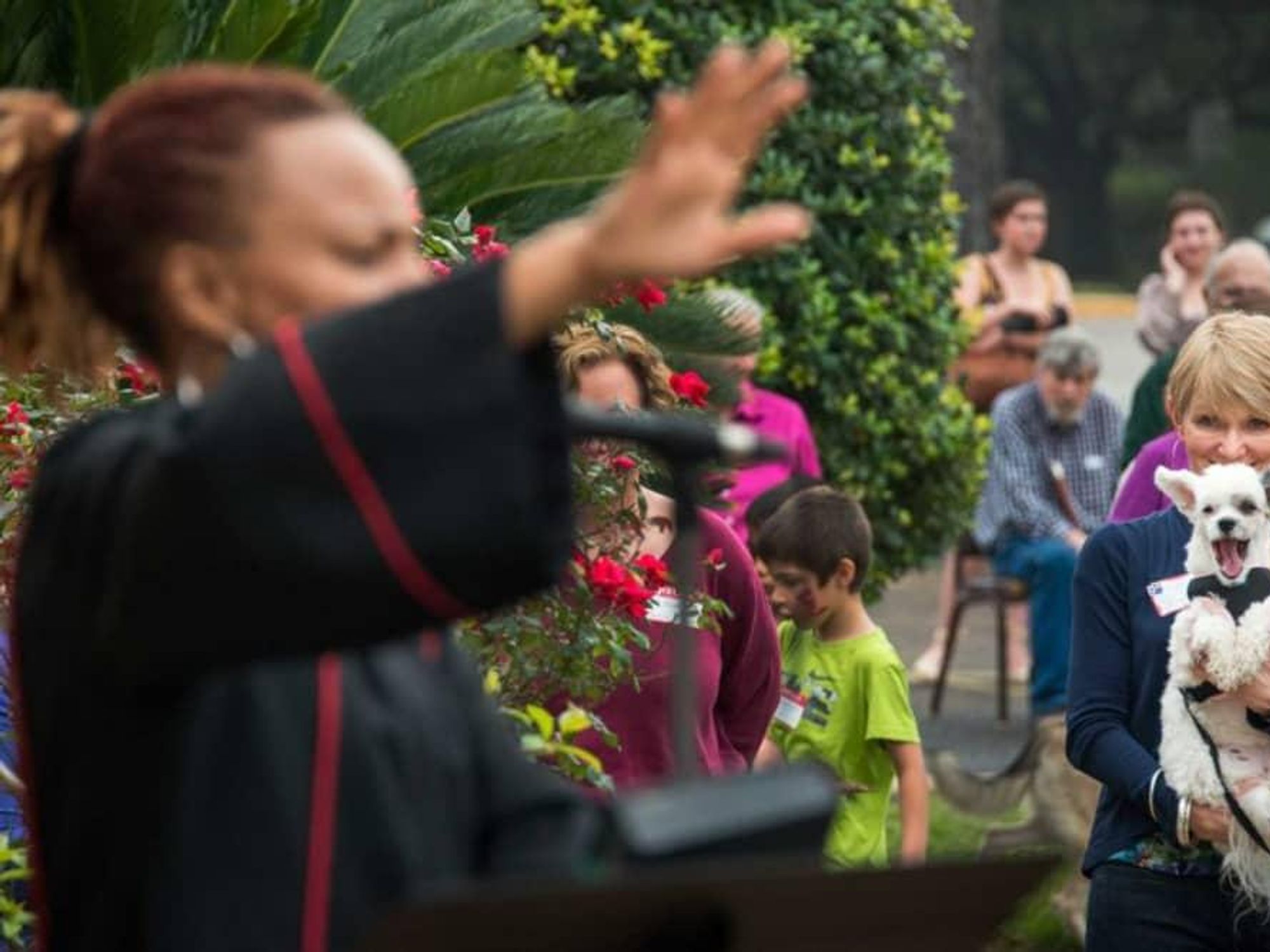 blessing of the animals