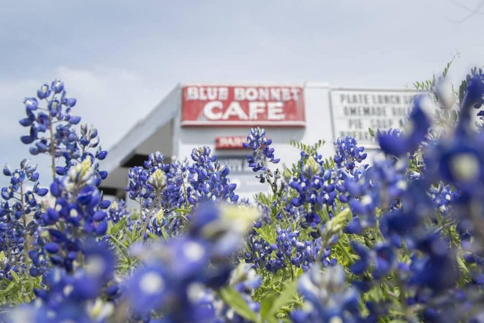 bluebonnet cafe marble falls