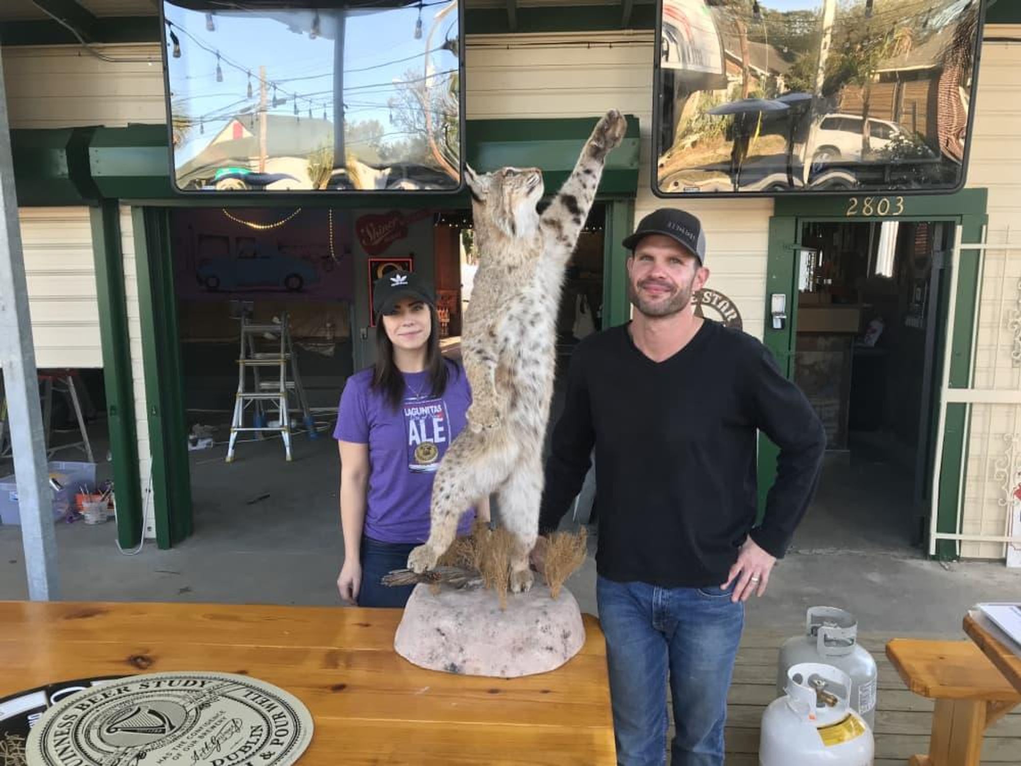 Bobcat Teddy's Ted Baker Alli Genoway