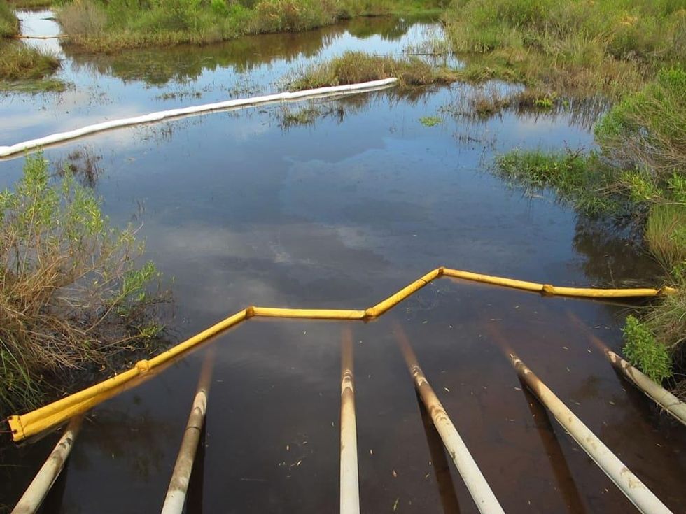 Bolivar oil seepage, East side of State Highway 124 between High Island and the beach.