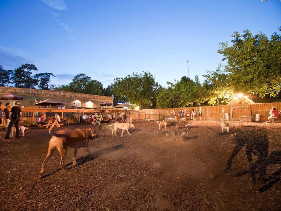 Boneyard Drinkery dark park and bar