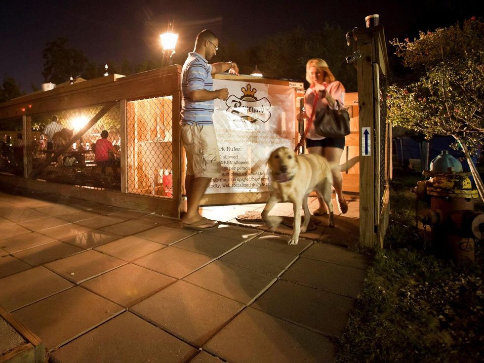 Boneyard Drinkery with dog coming though gate