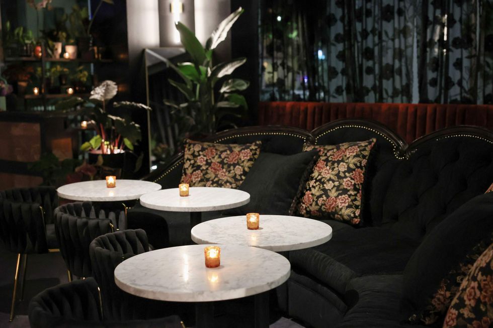 Botonica bar interior