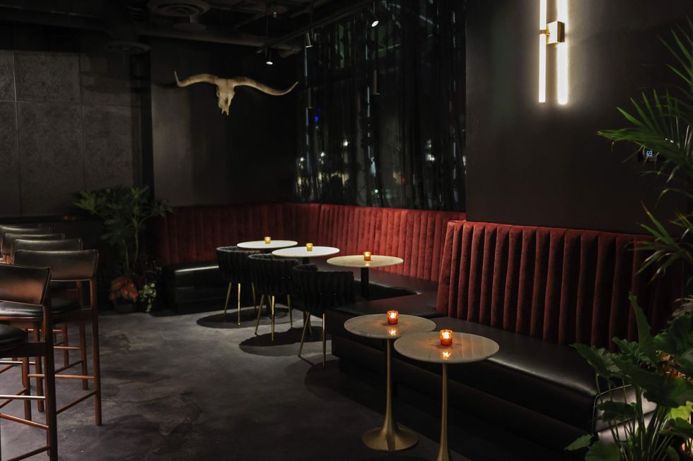 Botonica Cocktail Bar Interior