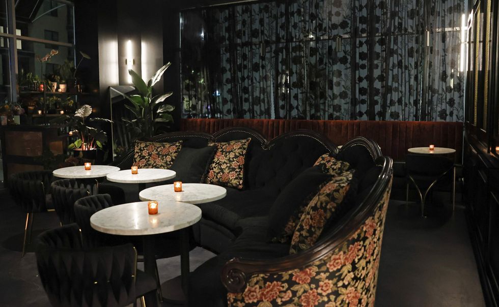 Botonica Cocktail Bar Interior