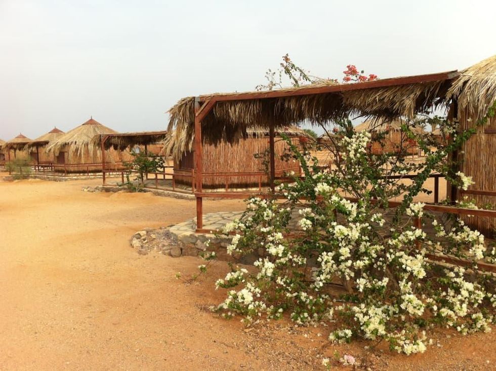 Bougainvillea-shaded huts at Mutawea\u2019s camp, Castle Beach Sinai Egypt