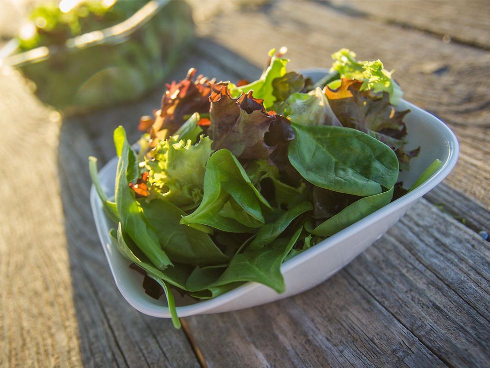 Bowl of salad greens