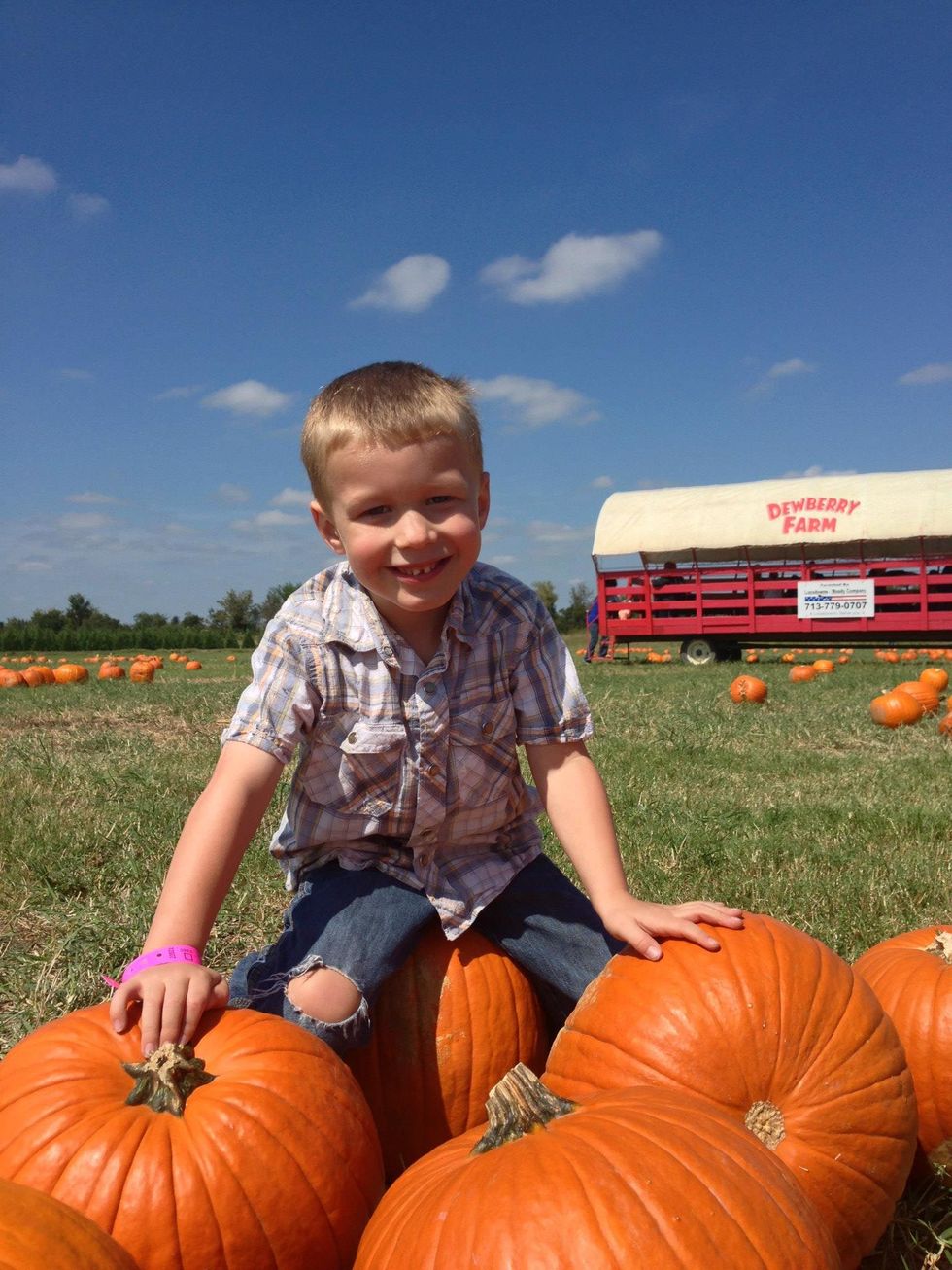 boy with pumpkins Dewberry Farm Brookshire Houston