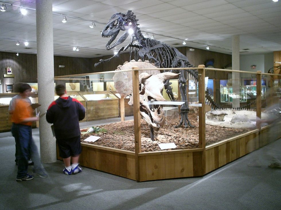 Brazosport Museum of Natural Science
