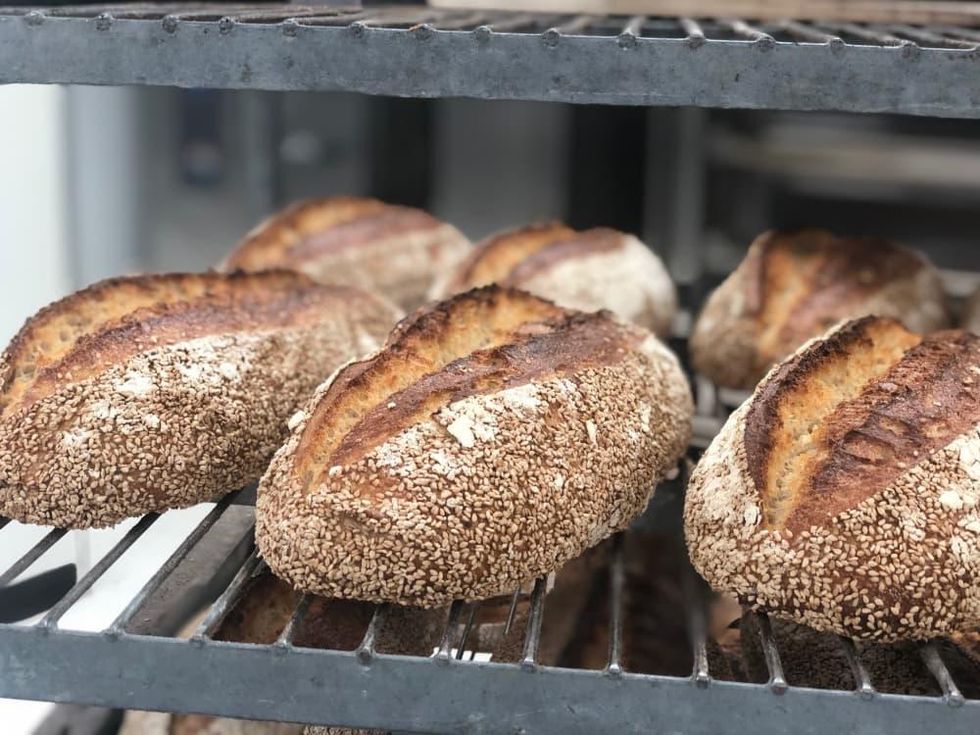 Bread Man Baking Company Kamut Sesame Sourdough