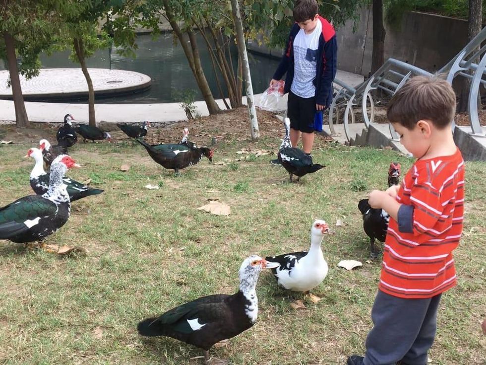 Buffalo Bayou Park kid feeding ducks