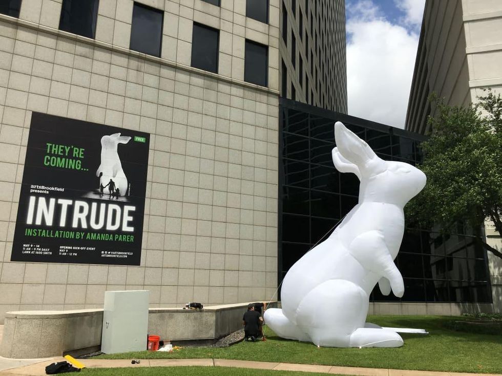 Bunnies Intrude art installation 1600 Smith