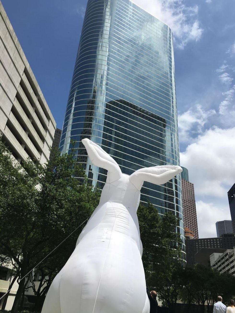 Bunnies Intrude art installation 1600 Smith