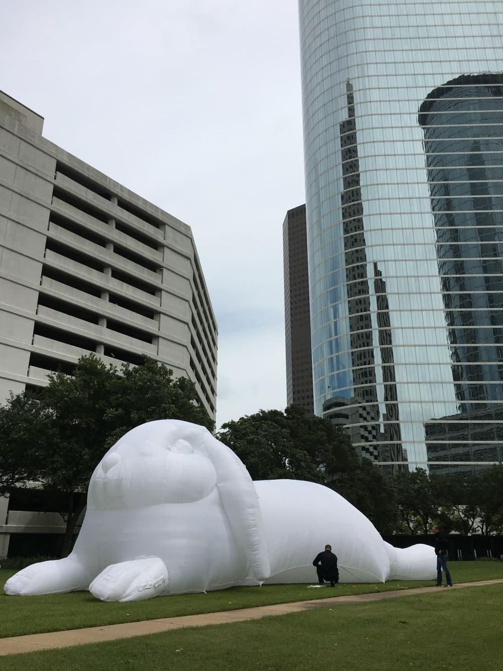 Bunnies Intrude art installation 1600 Smith