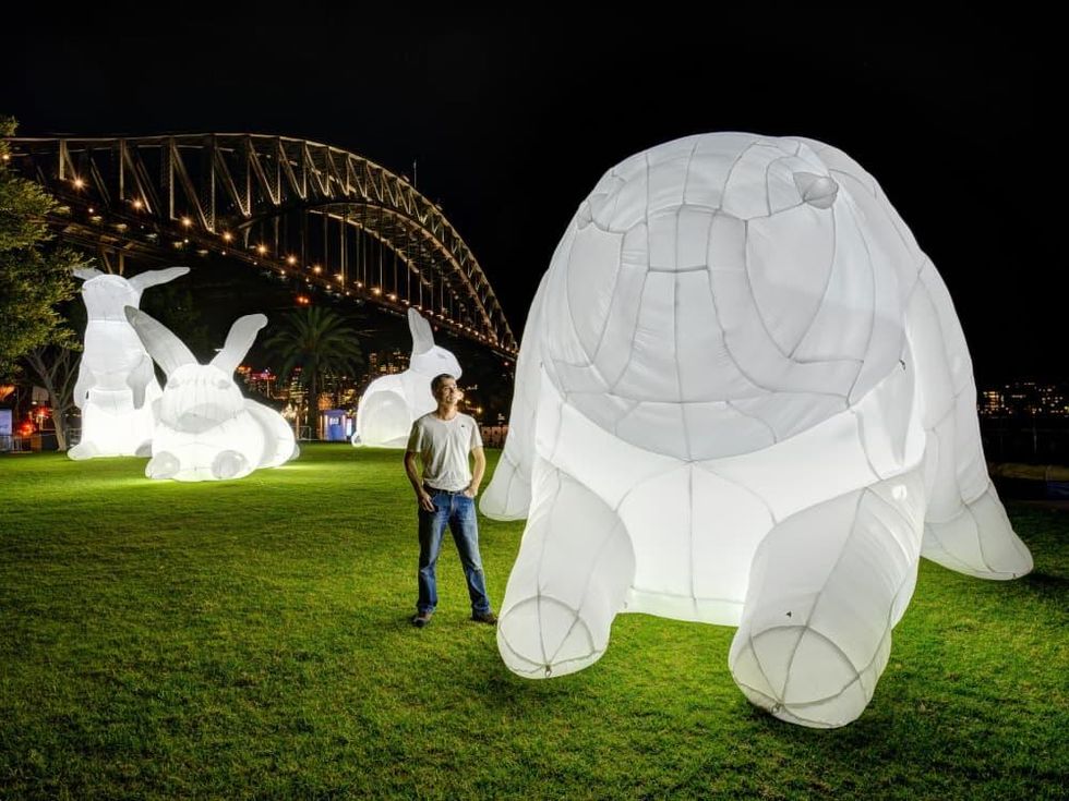 Bunnies Intrude art installation 1600 Smith