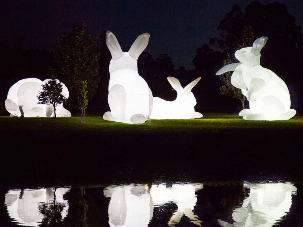 Bunnies Intrude art installation 1600 Smith