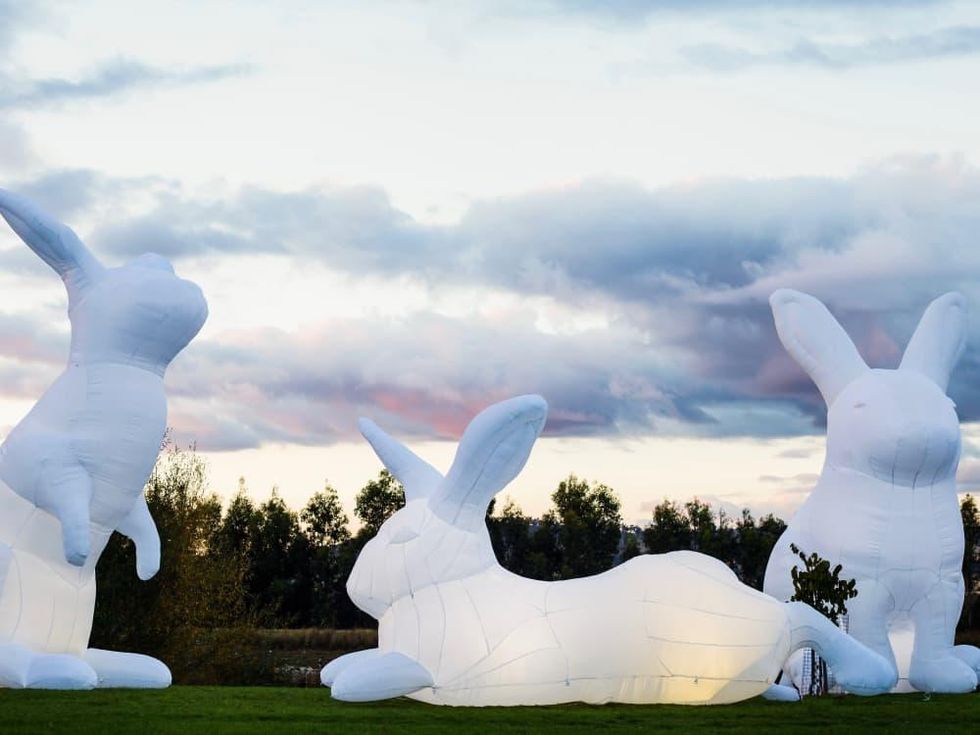 Bunnies Intrude art installation 1600 Smith