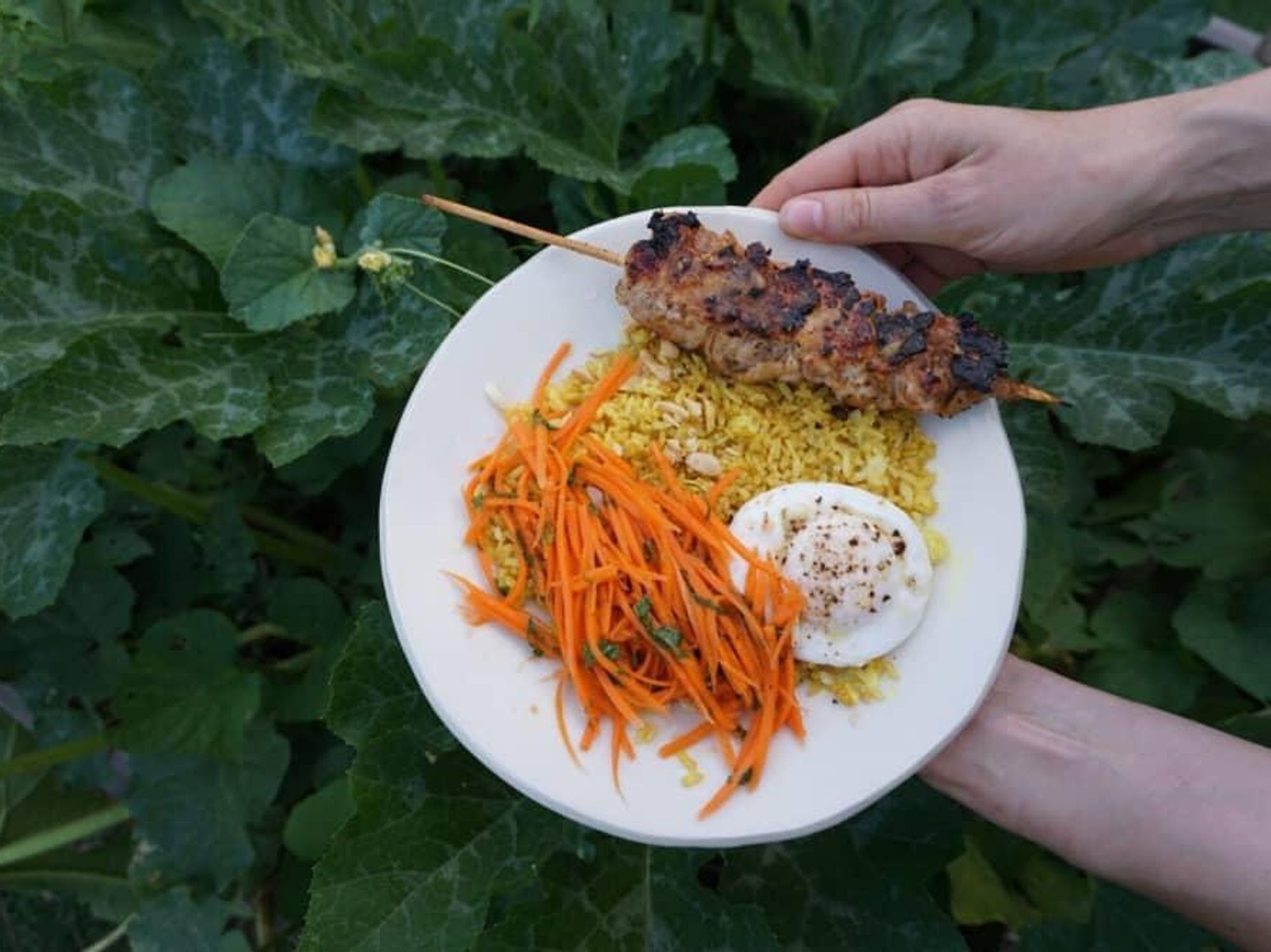 Cafe Louie preserved lemon chicken