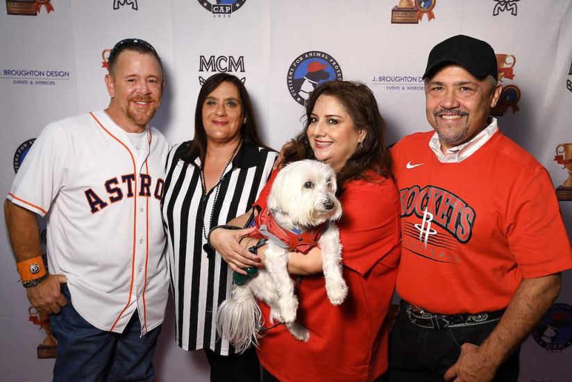 Astros Dog Gear - Houston PetTalk