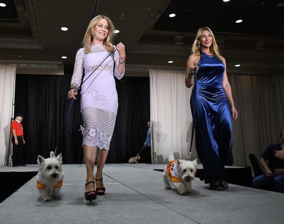 CAP Summer Gala 2019