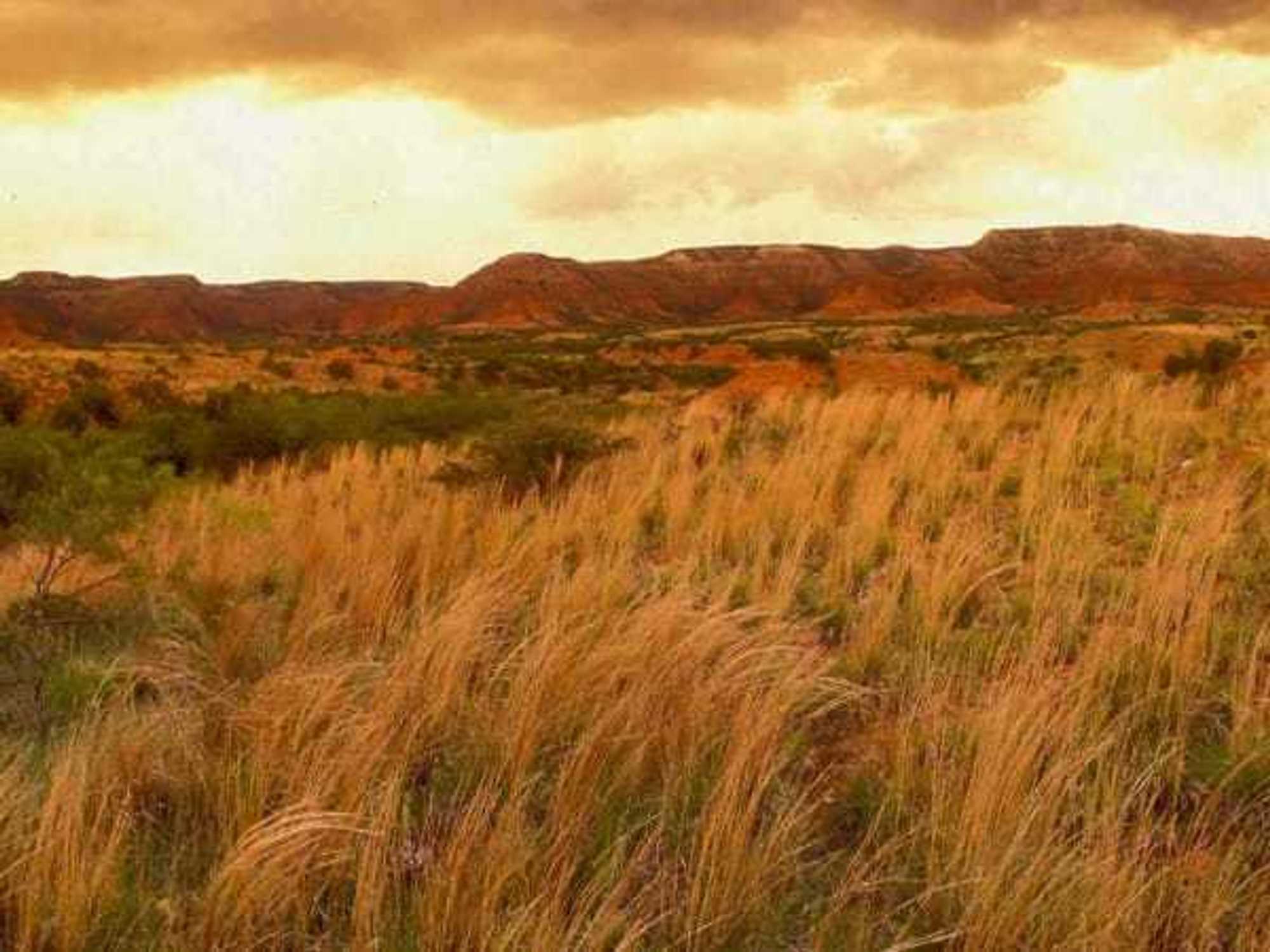 Caprock Canyons State Park