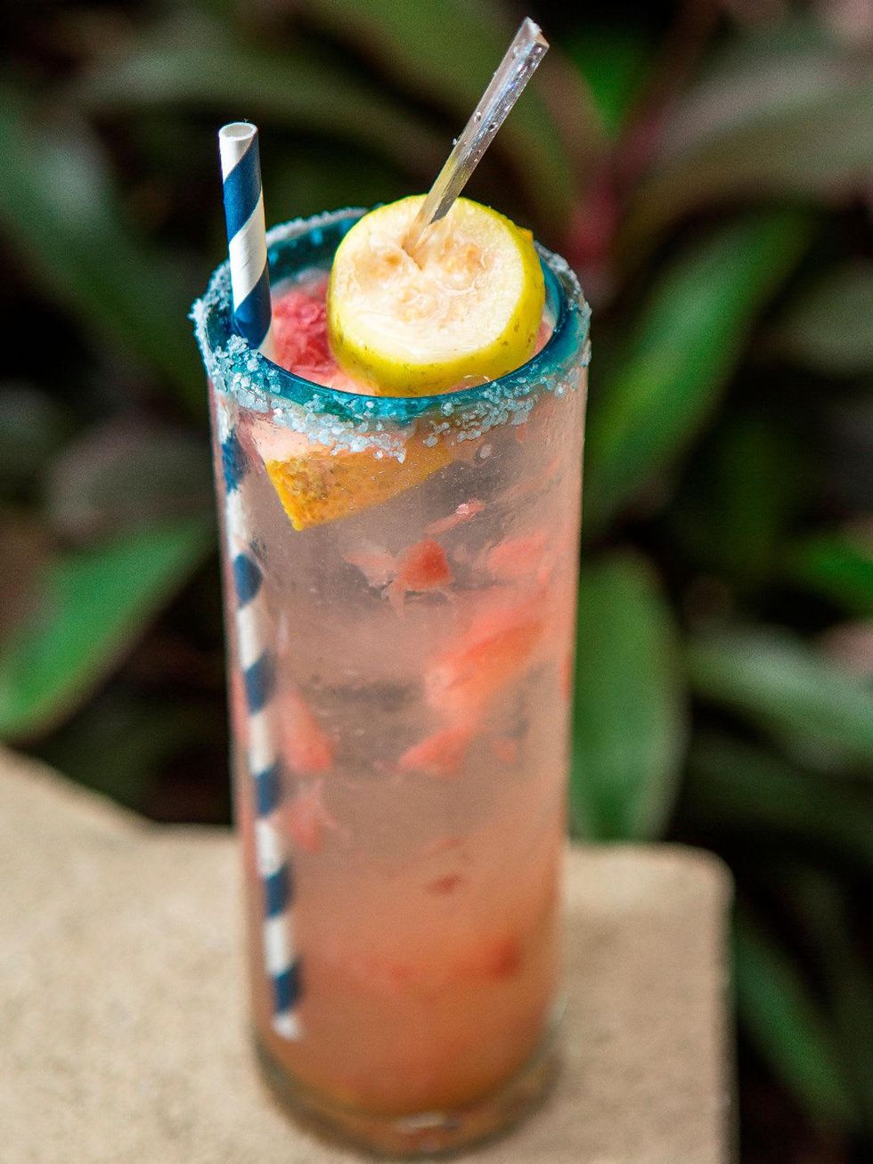 Caracol Paloma de Corazon cocktail