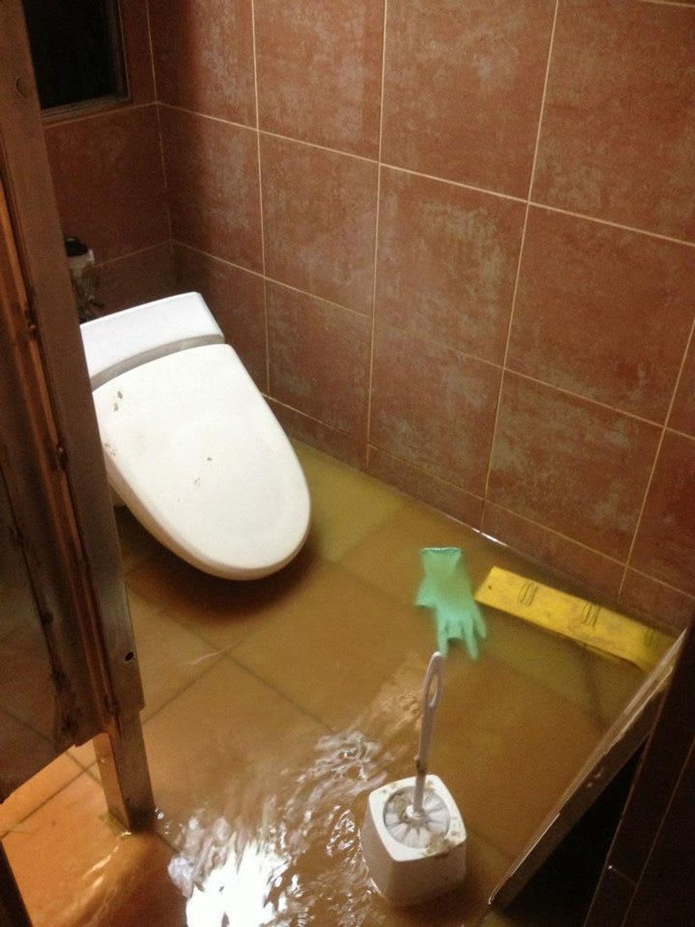 Carnival Triumph, toilet