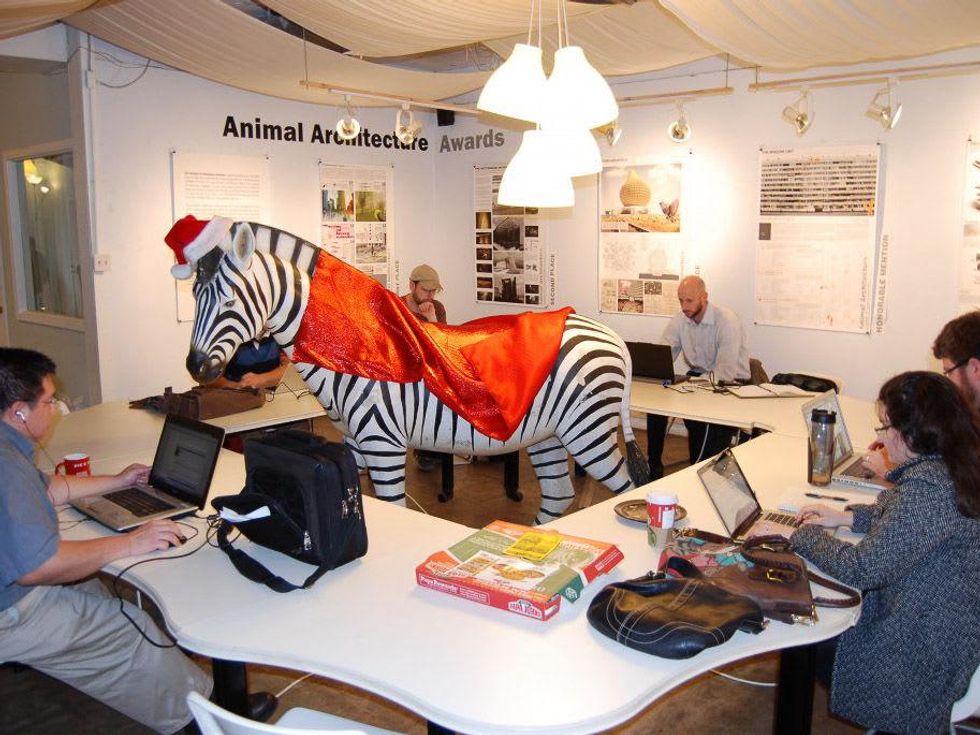 Caroline Collective Christmas with zebra in Santa hat