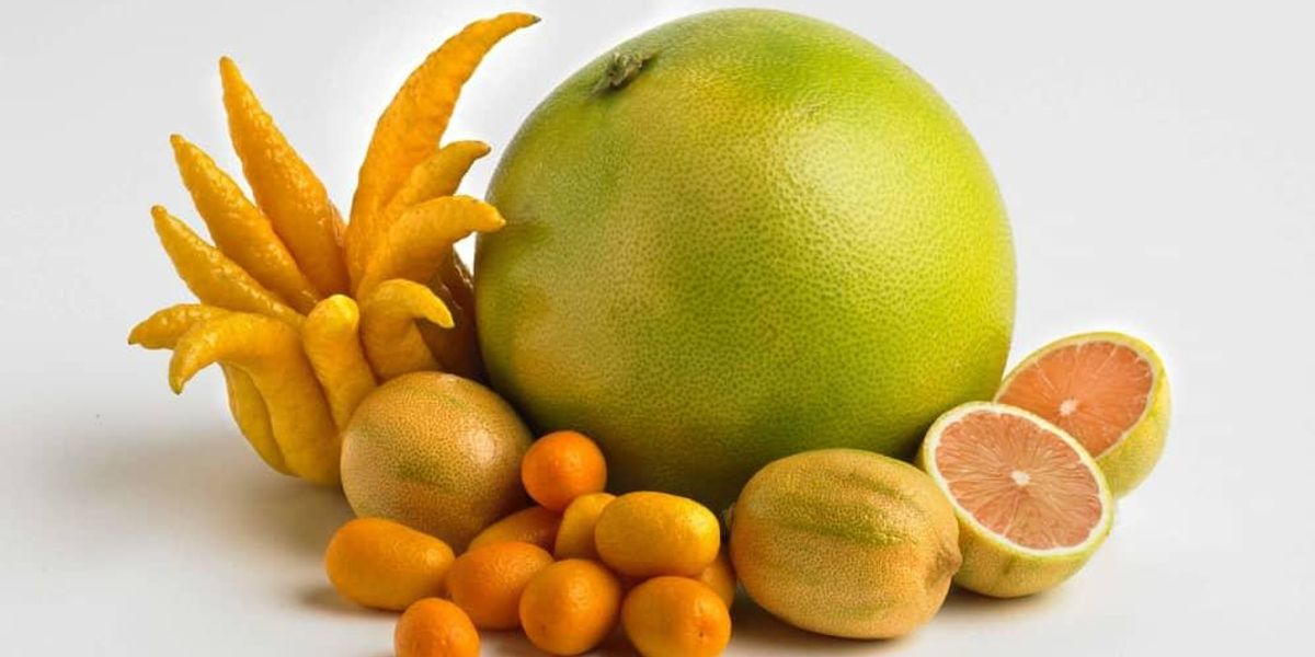 Central Market presents Citrus Fest Fresh and Light Citrus Dinner