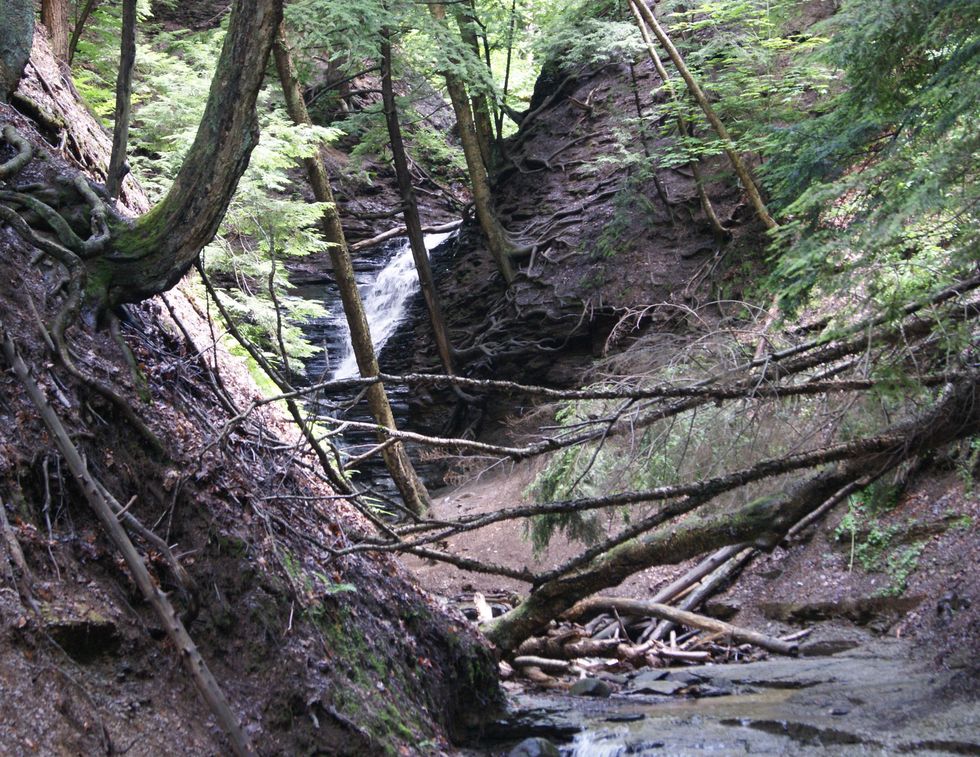 Chestnut Ridge Park waterfall mountains