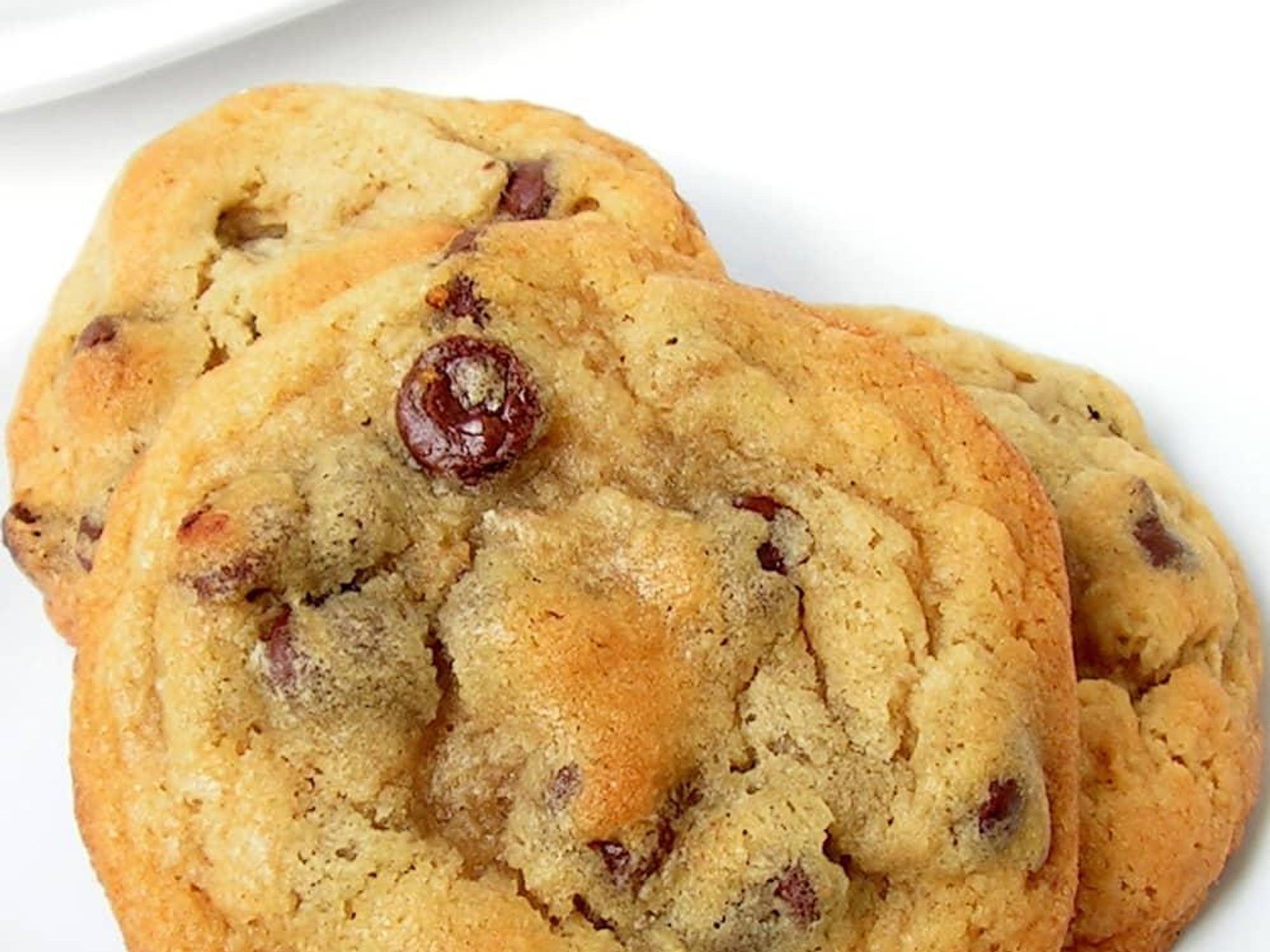 Chocolate chip cookies at Tiny Boxwoods
