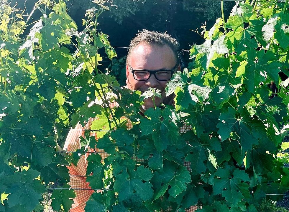 Chris Shepherd Modavi vineyard