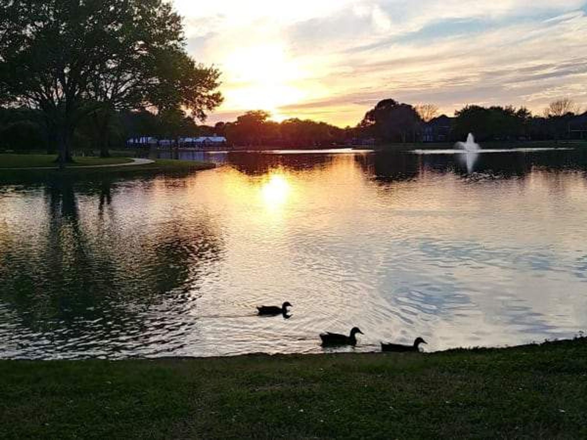 Cinco Ranch neighborhood in Houston