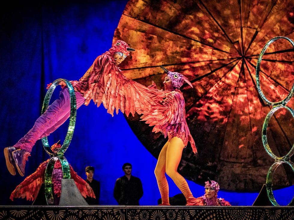 Cirque du Soleil Luzia