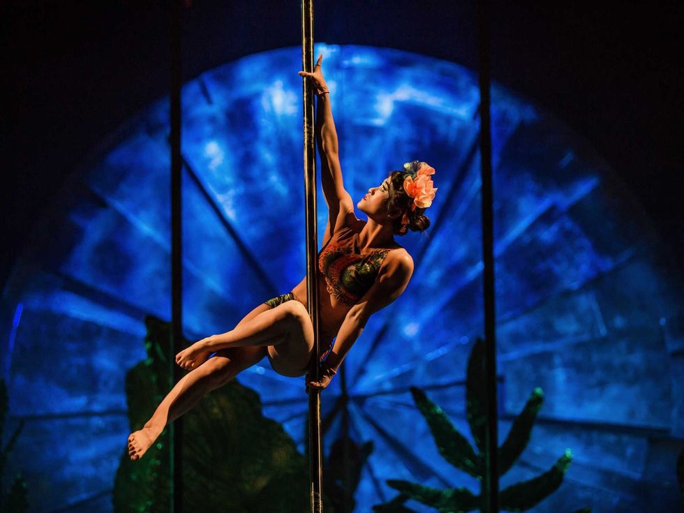 Cirque du Soleil Luzia
