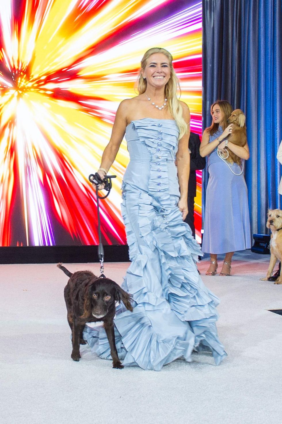 Citizens for Animal Protection celebrity gala 2024