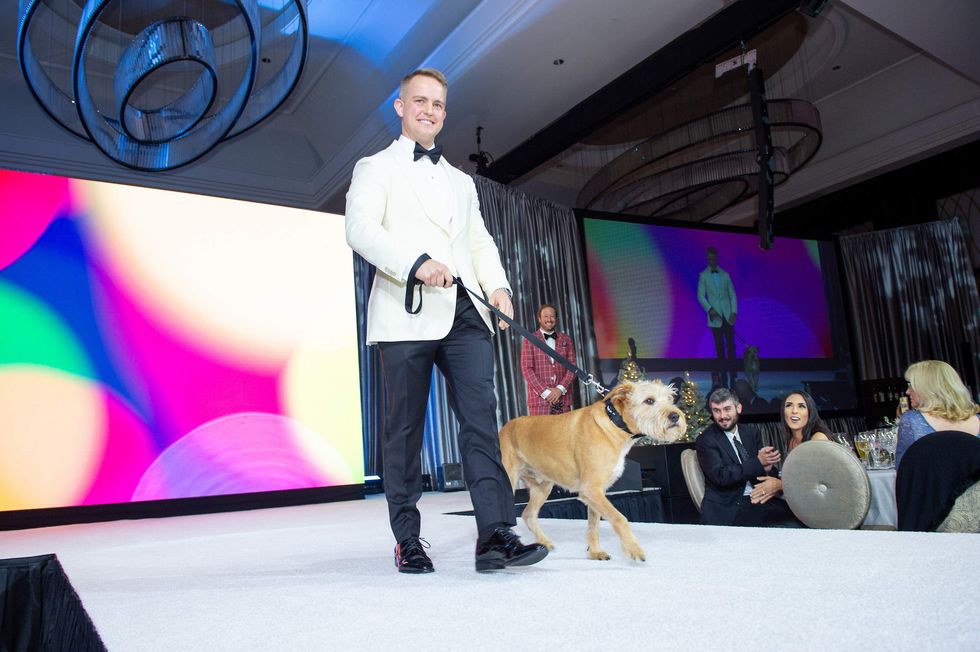 Citizens for Animal Protection celebrity gala 2024