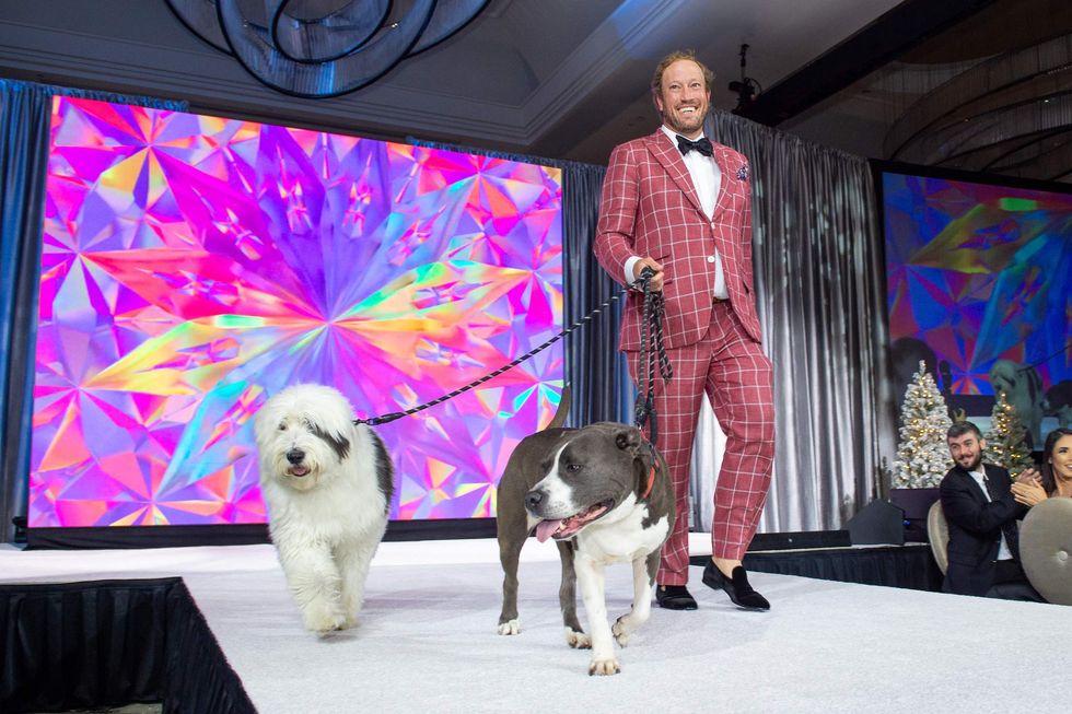 Citizens for Animal Protection celebrity gala 2024