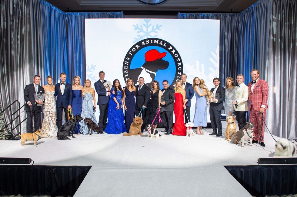 Citizens for Animal Protection celebrity gala 2024