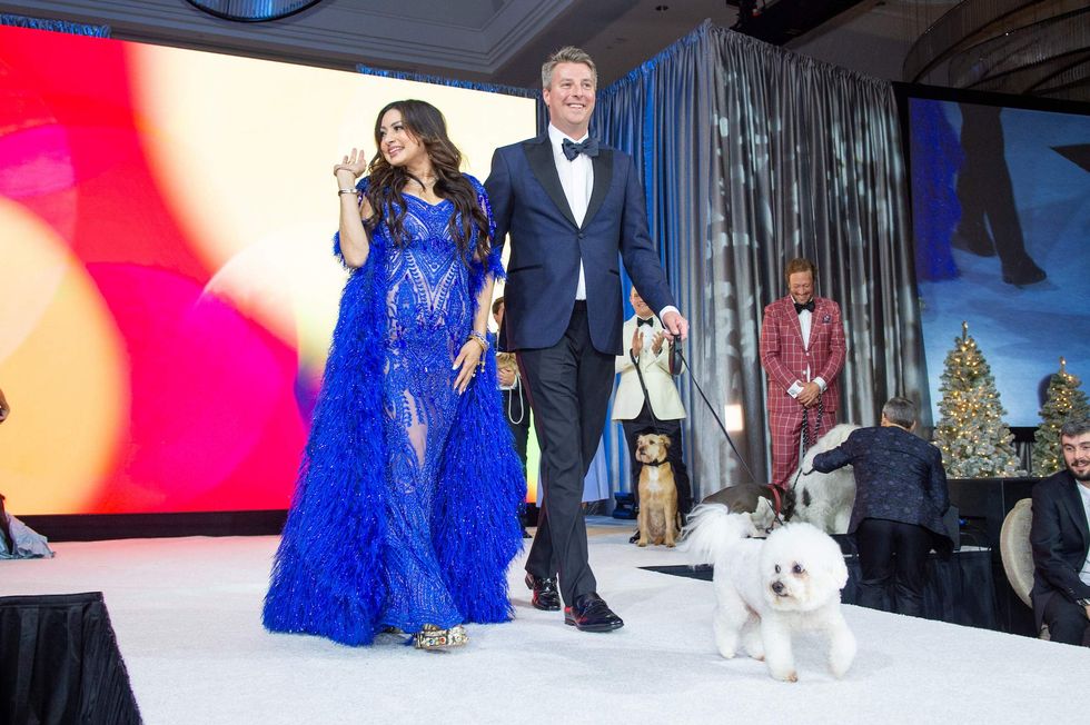 Citizens for Animal Protection celebrity gala 2024