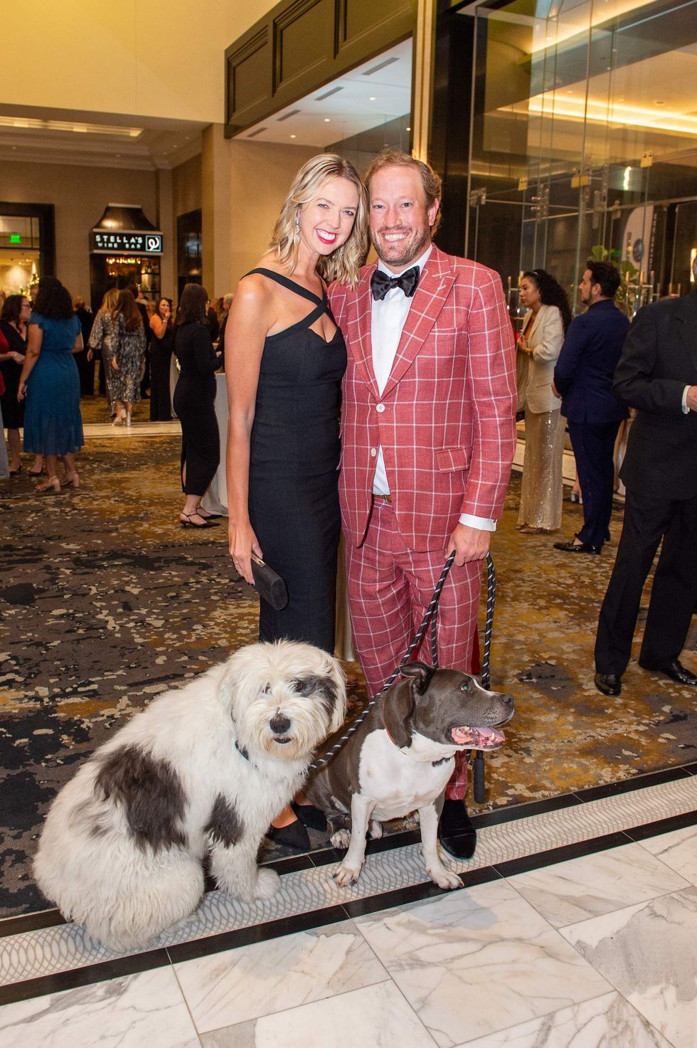 Citizens for Animal Protection celebrity gala 2024