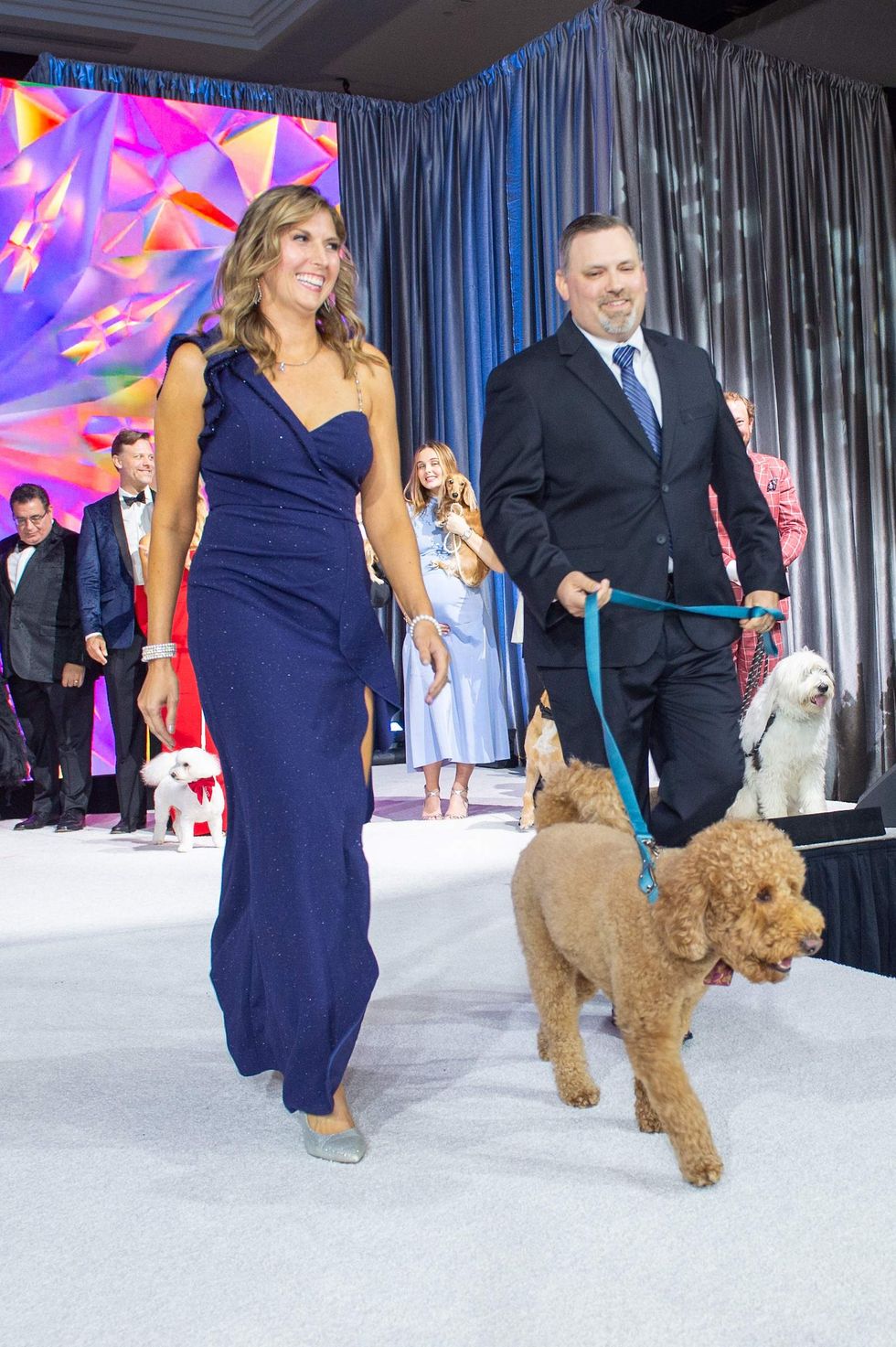 Citizens for Animal Protection celebrity gala 2024