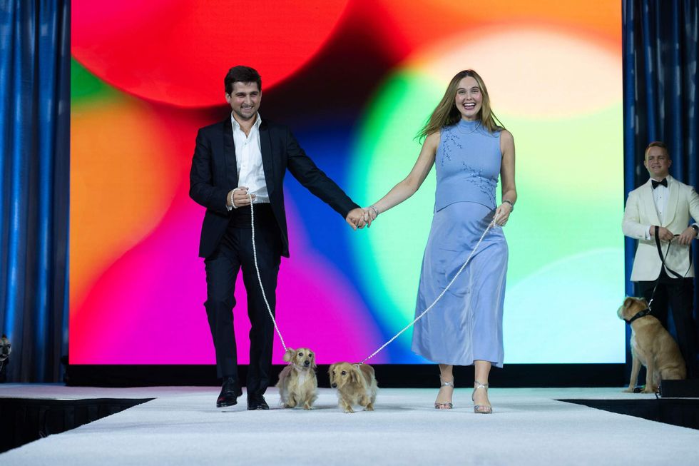 Citizens for Animal Protection celebrity gala 2024