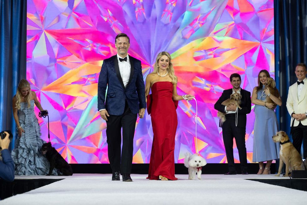 Citizens for Animal Protection celebrity gala 2024