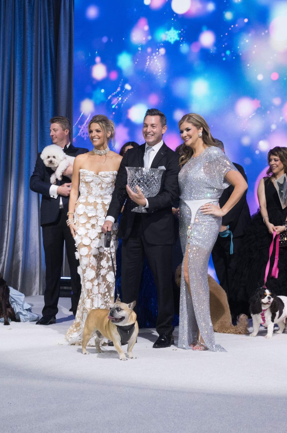 Citizens for Animal Protection celebrity gala 2024