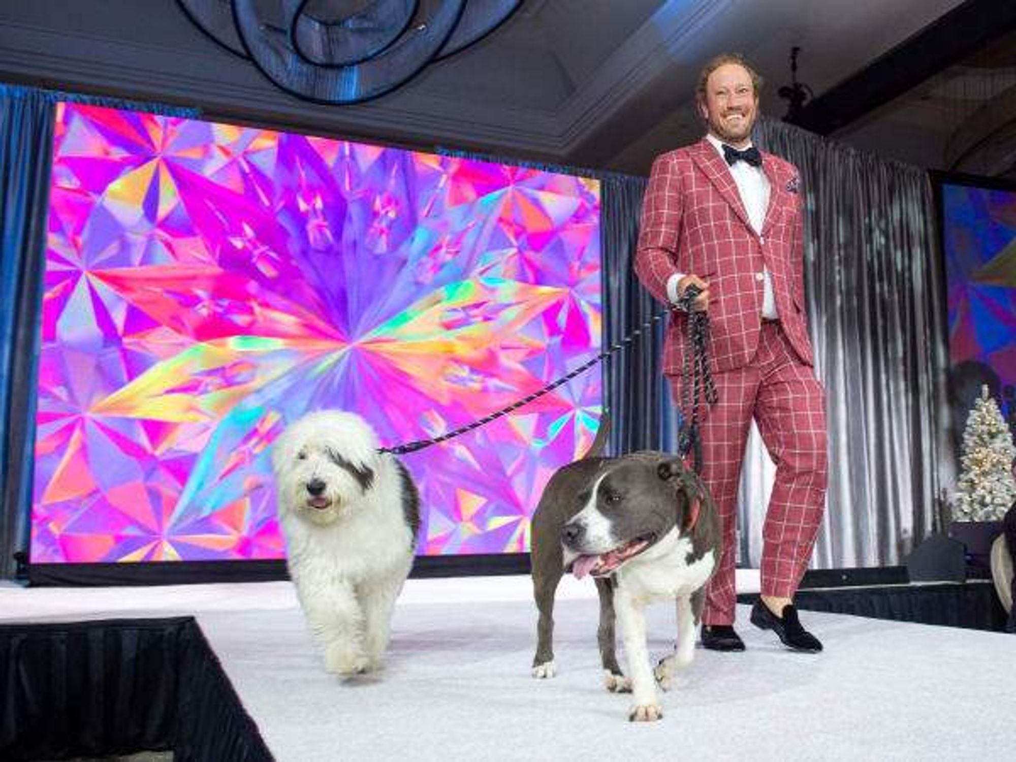 Citizens for Animal Protection celebrity gala 2024