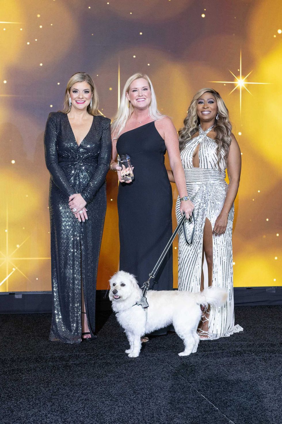 Citizens for Animal Protection Gala 2025