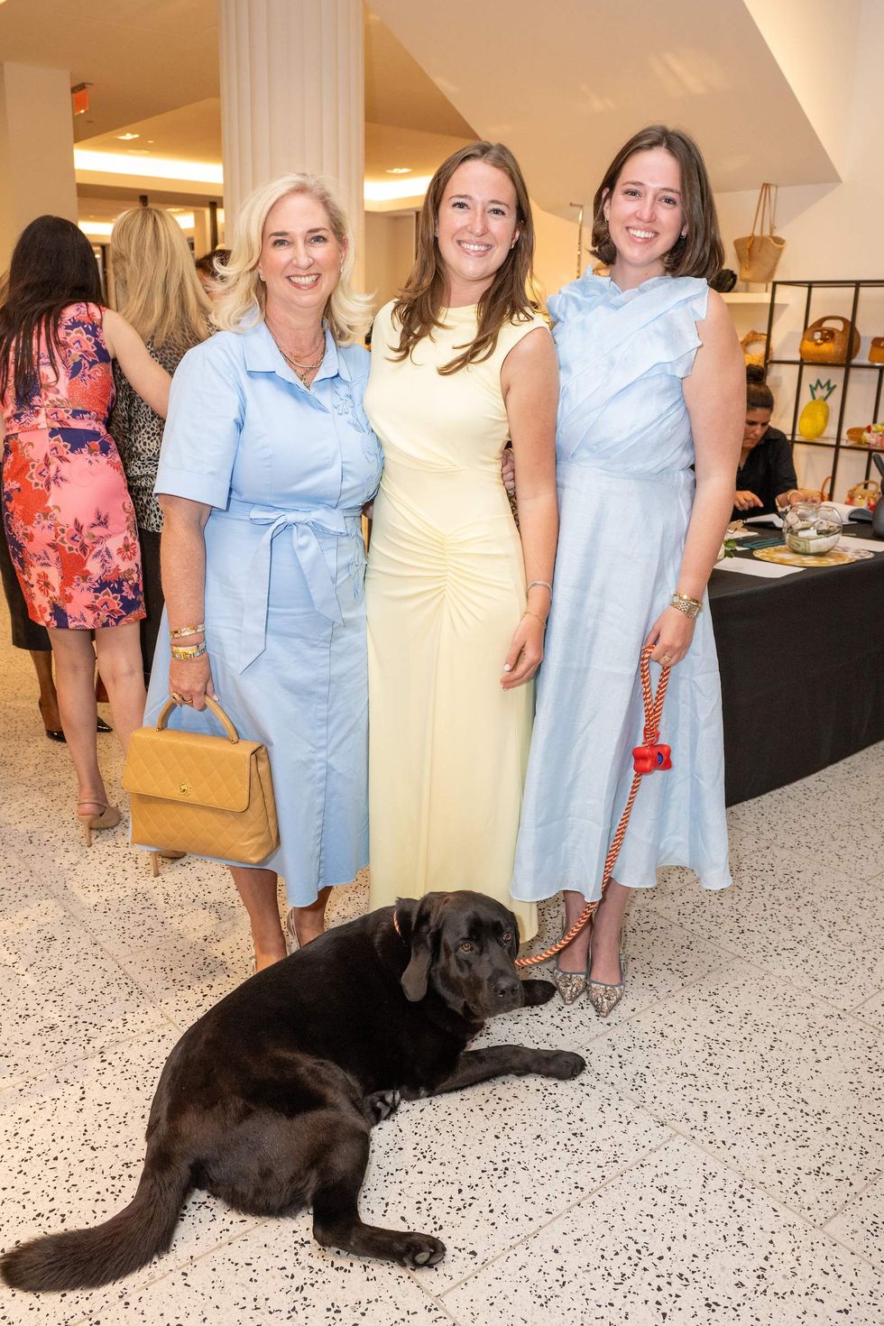 Citizens for Animal Protection gala kickoff 2025