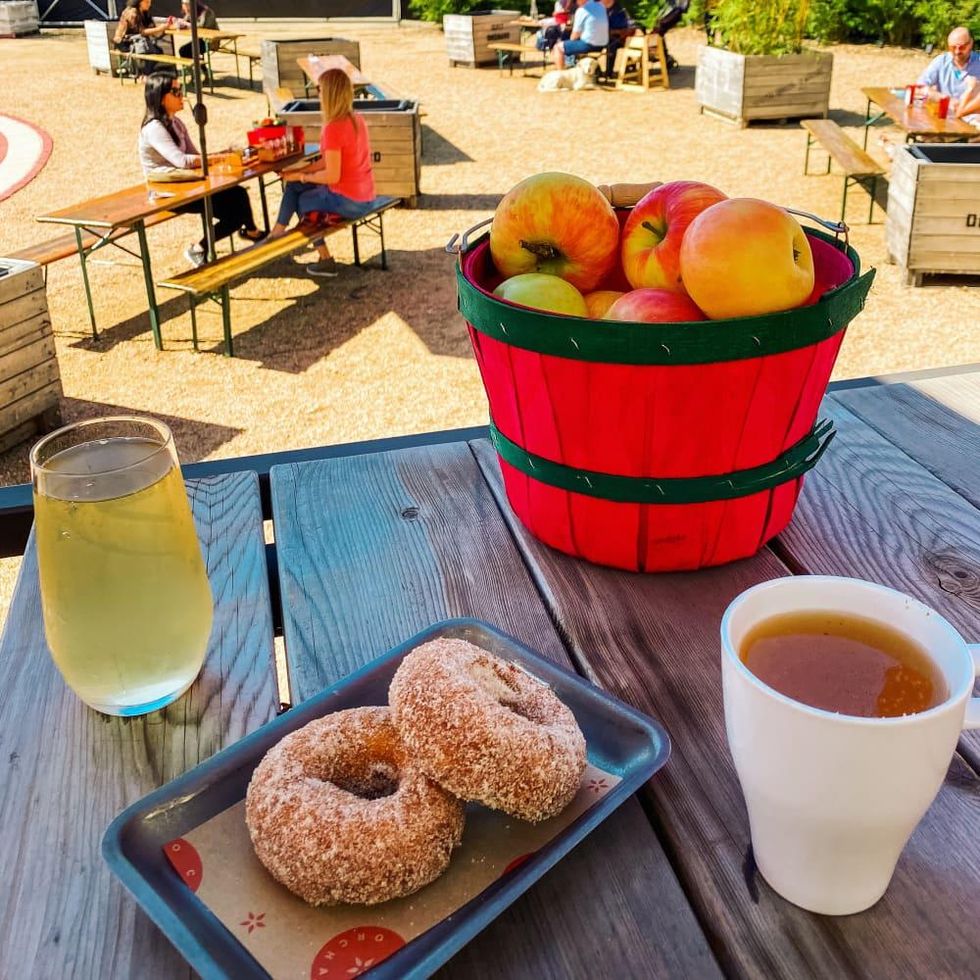 City Orchard cider doughnuts
