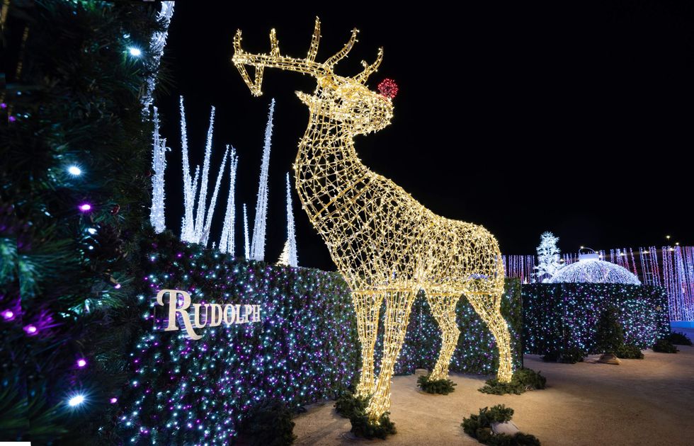 Classic Christmas Rudolph light display